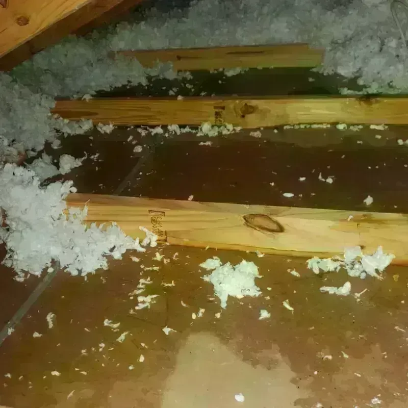 Attic Water Damage in Flying Hills, PA